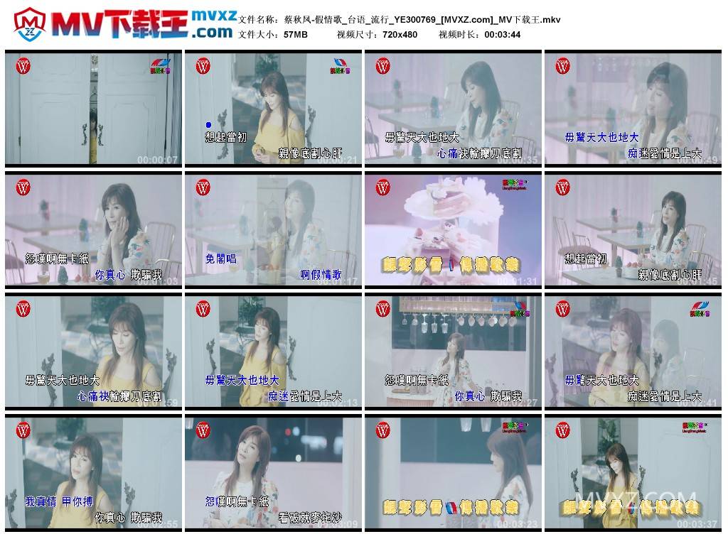 蔡秋凤-假情歌_台语_流行_YE300769